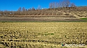 20230110_150754 - Dalla terra... il grano